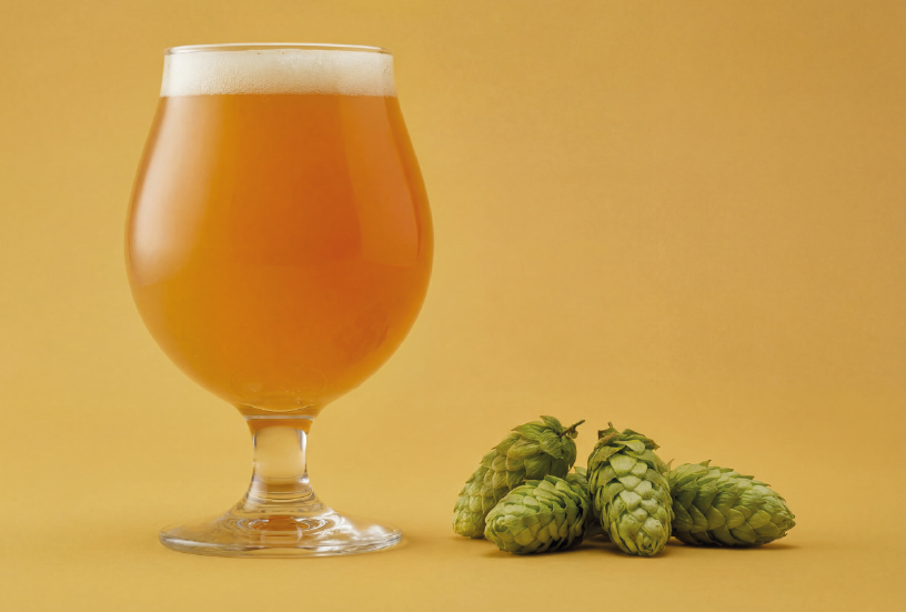Modern Scandinavian IPA